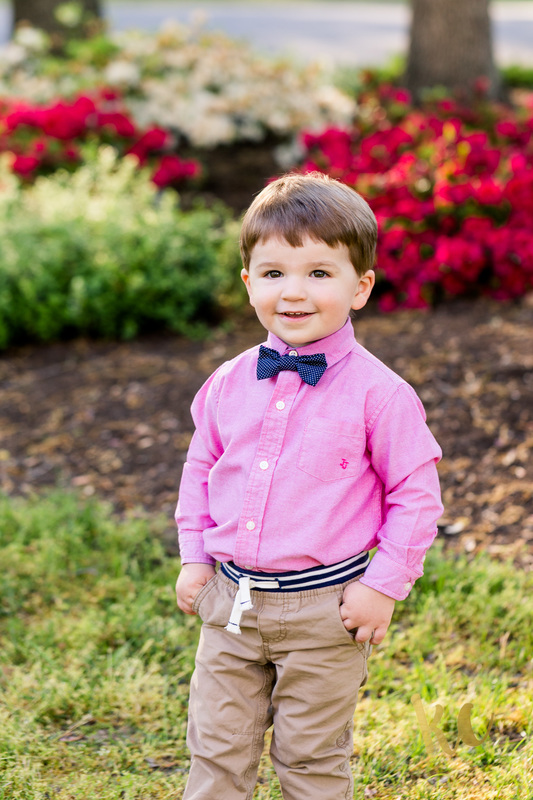Boy in Bow Tie Pink Shirt Portraits