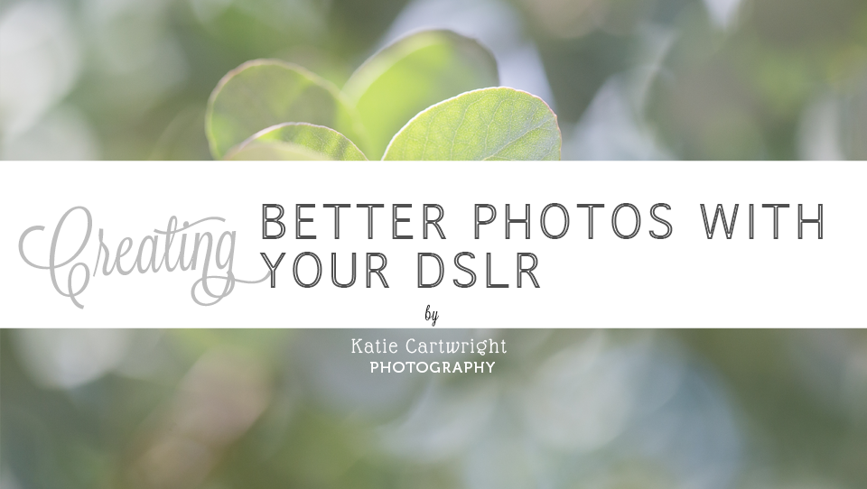 Richmond VA Photography Workshop, Creating Better Photos with Your DSLR