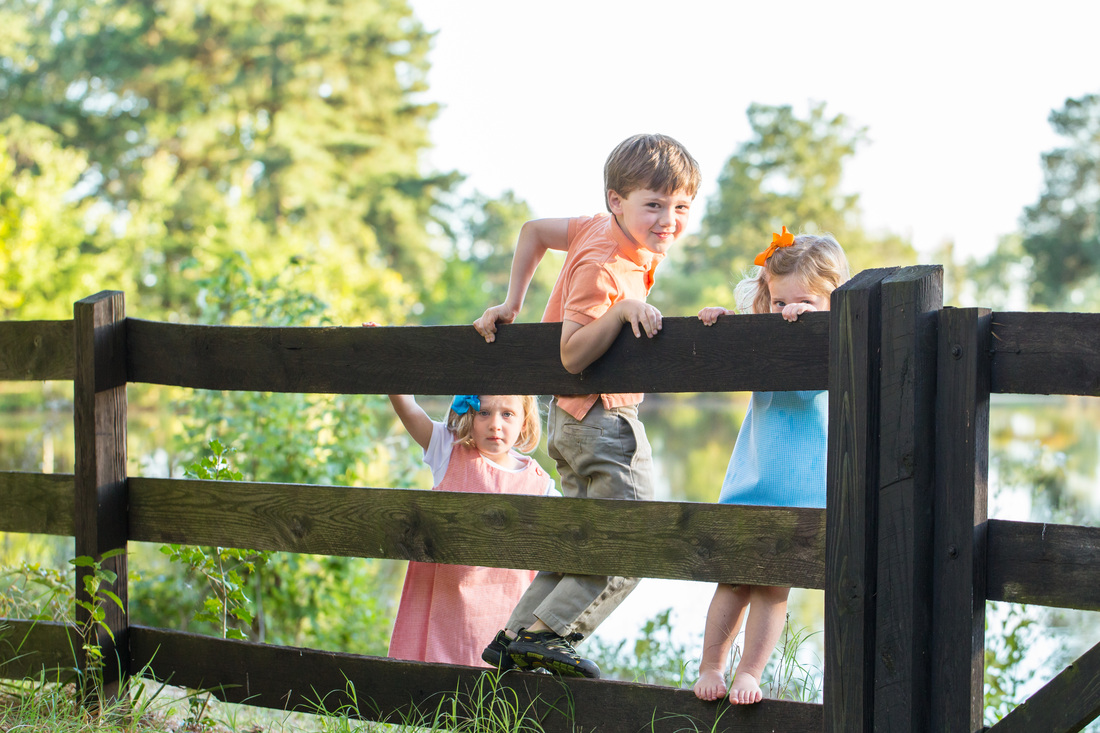 kids on a fence in the country