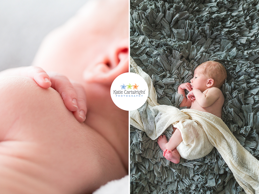 baby hands, newborn on flokati, newborn photos