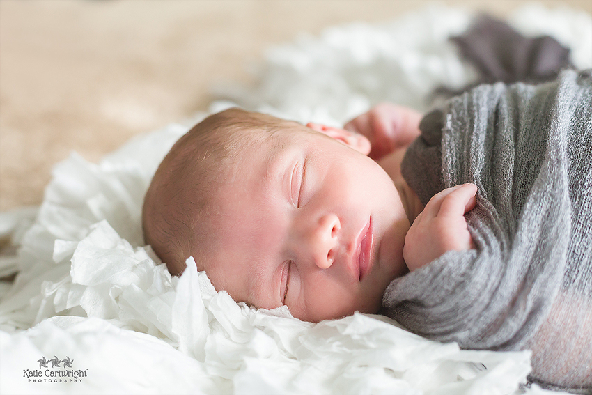 baby boy, newborn portrait